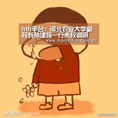 hth网页版